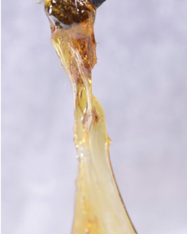 160B1FDC-CBBD-4F84-B2F1-B485CB4A874A